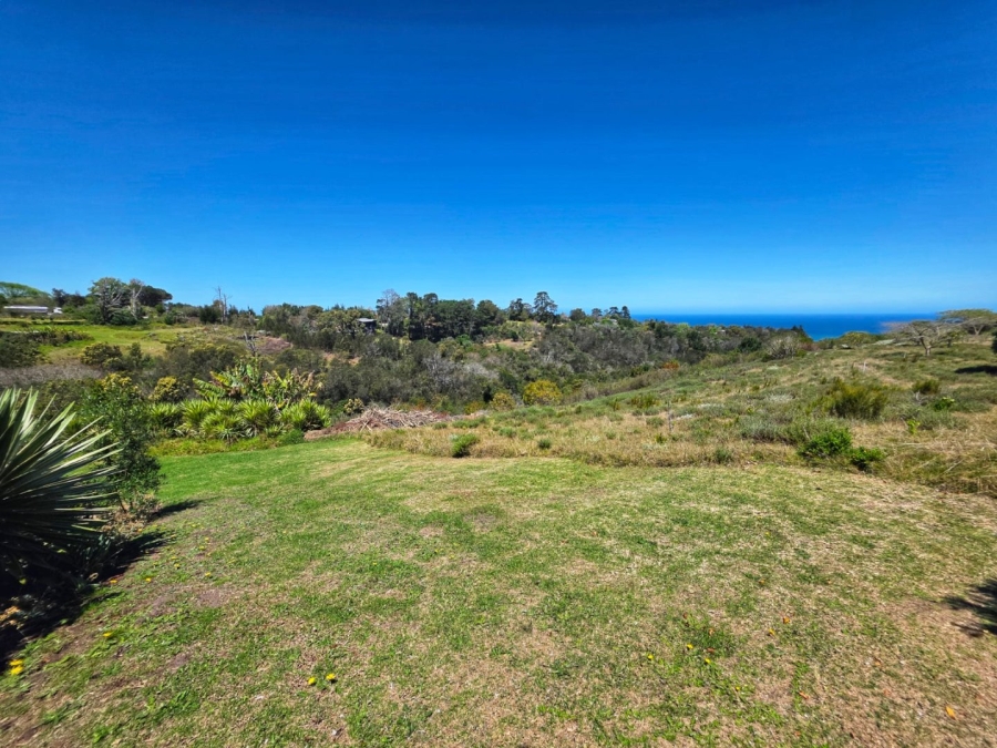 Commercial Property for Sale in Hoekwil Western Cape